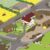 Farm