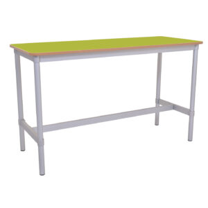 Enviro Standard Project Table
